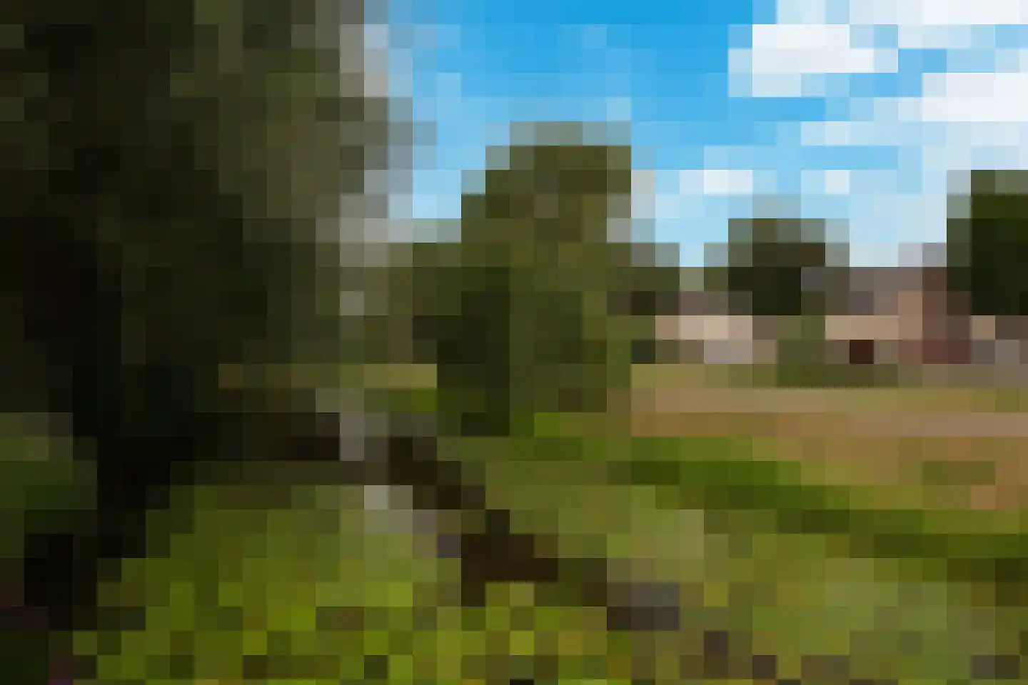 Beatrixpark 81 's-Hertogenbosch thumbnail 5