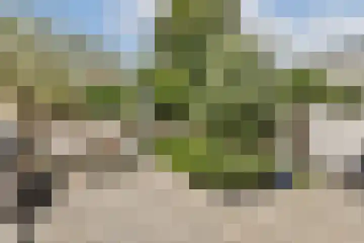 Beatrixplantsoen 15 Zandvoort thumbnail 17
