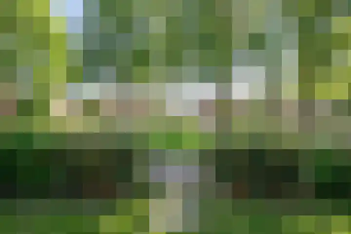 Beatrixplantsoen 22 Lekkerkerk thumbnail 33