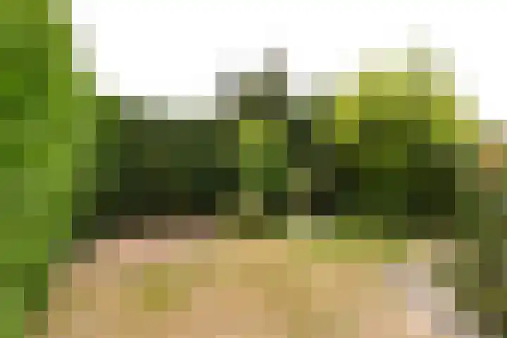 Beatrixplantsoen 48 Heemstede thumbnail 11