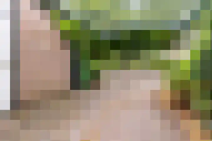 Beatrixplantsoen 48 Heemstede foto 3