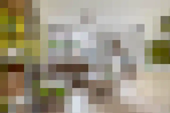 Beatrixplein 1 Zwartewaal thumbnail 12