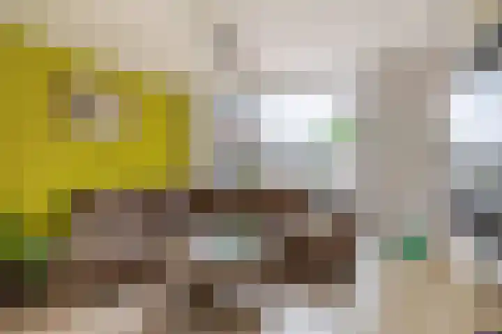 Beatrixplein 1 Zwartewaal thumbnail 13