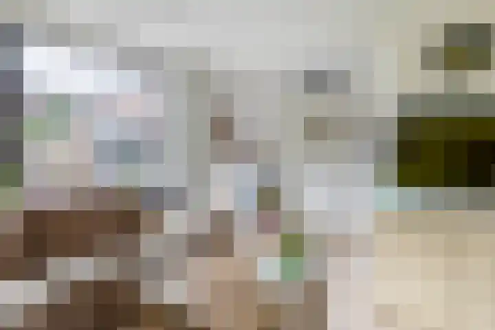 Beatrixplein 1 Zwartewaal thumbnail 15
