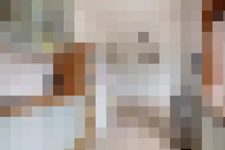 Beatrixplein 1 Zwartewaal thumbnail 19