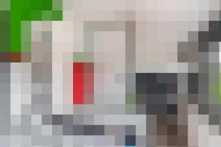 Beatrixplein 1 Zwartewaal thumbnail 36