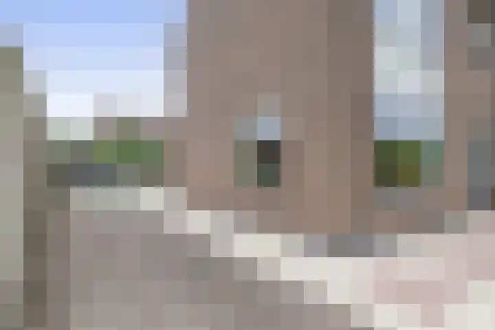 Beatrixplein 1 Zwartewaal thumbnail 46