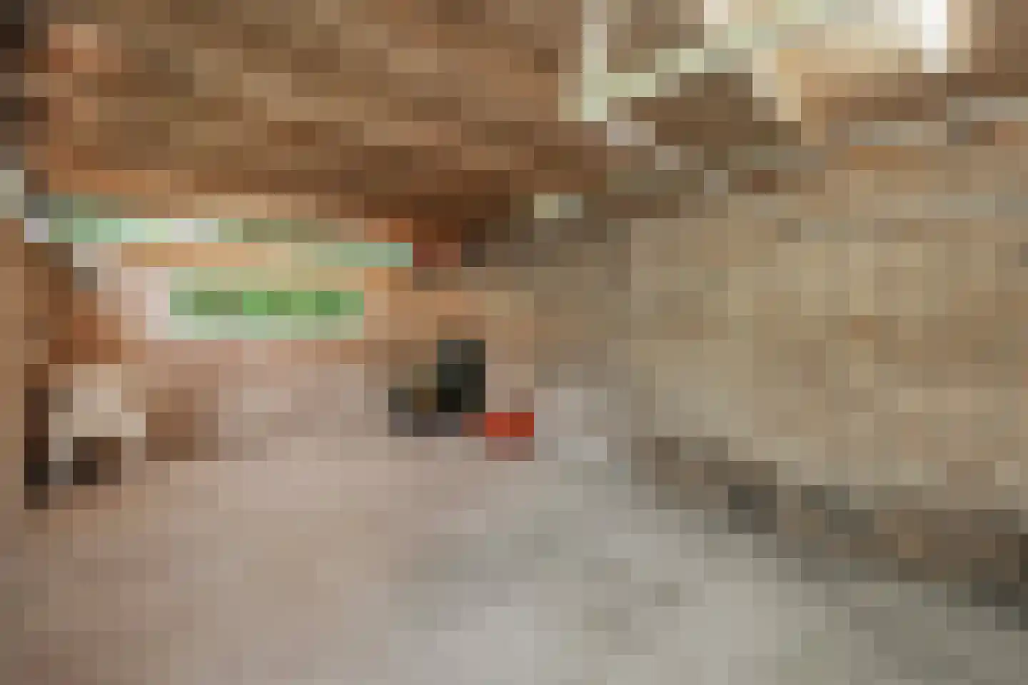Beatrixplein 12 Ede thumbnail 52
