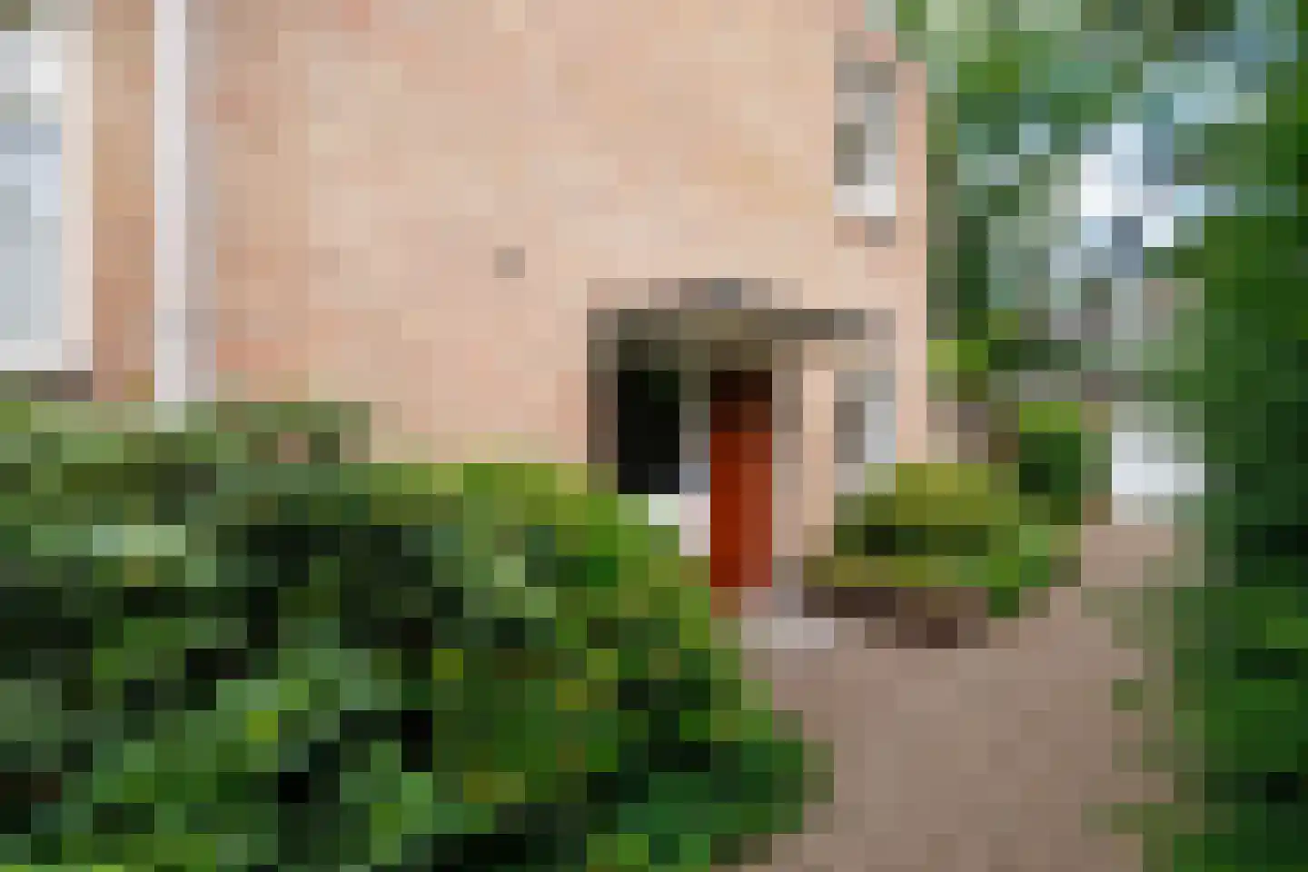Beatrixplein 12 Ede thumbnail 55