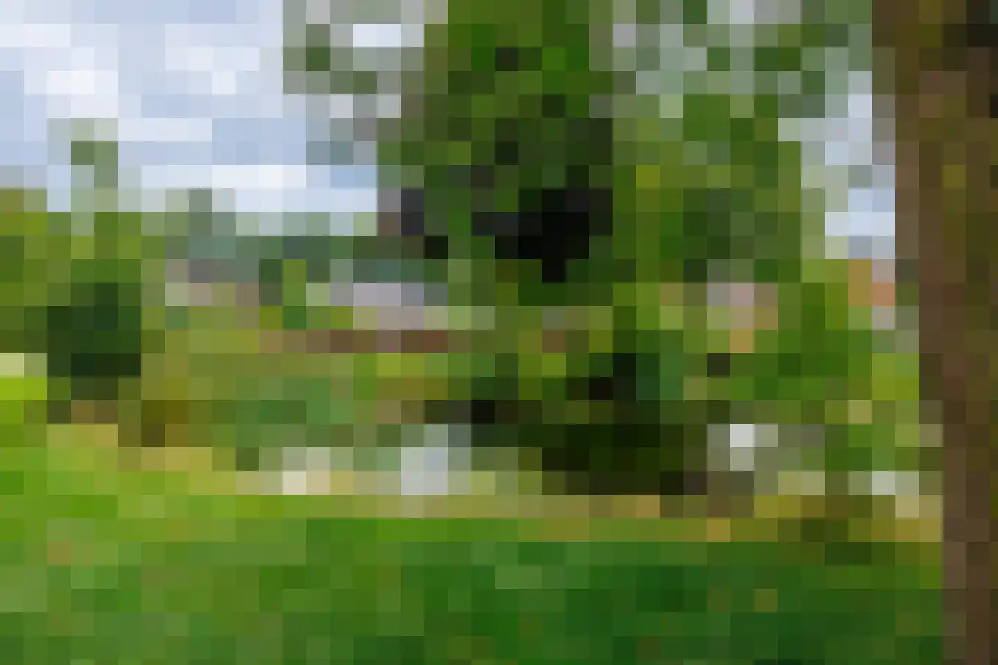 Beatrixplein 12 Ede thumbnail 62