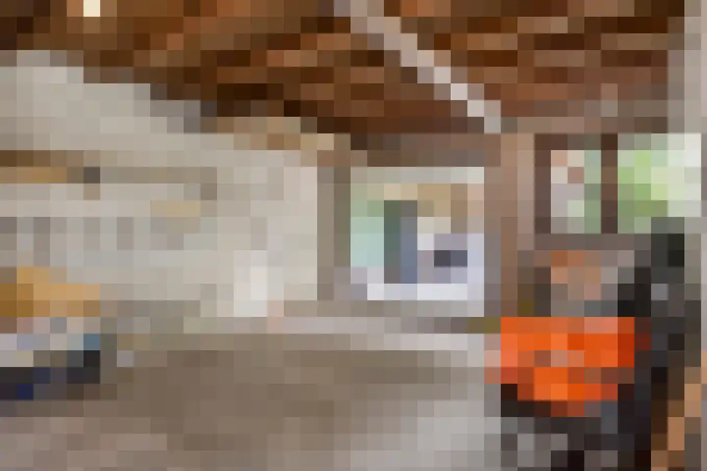 Beatrixplein 13 Ede thumbnail 44