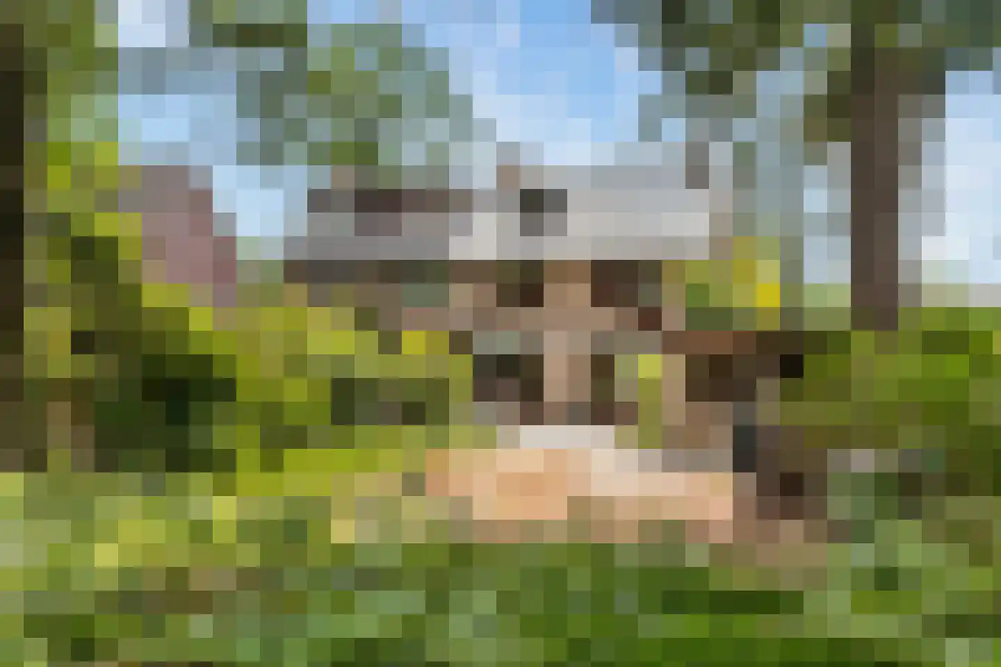 Beatrixplein 13 Ede thumbnail 55
