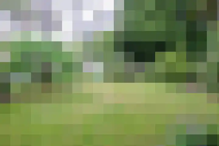 Beatrixplein 3 Ede thumbnail 39