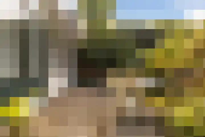 Beatrixplein 5 Ede thumbnail 33