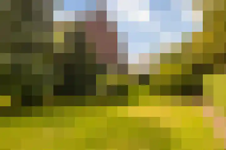 Beatrixplein 5 Ede thumbnail 37