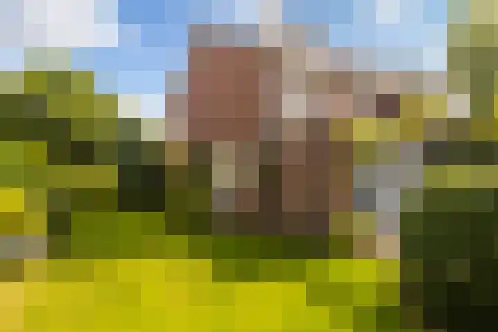 Beatrixplein 5 Ede thumbnail 4