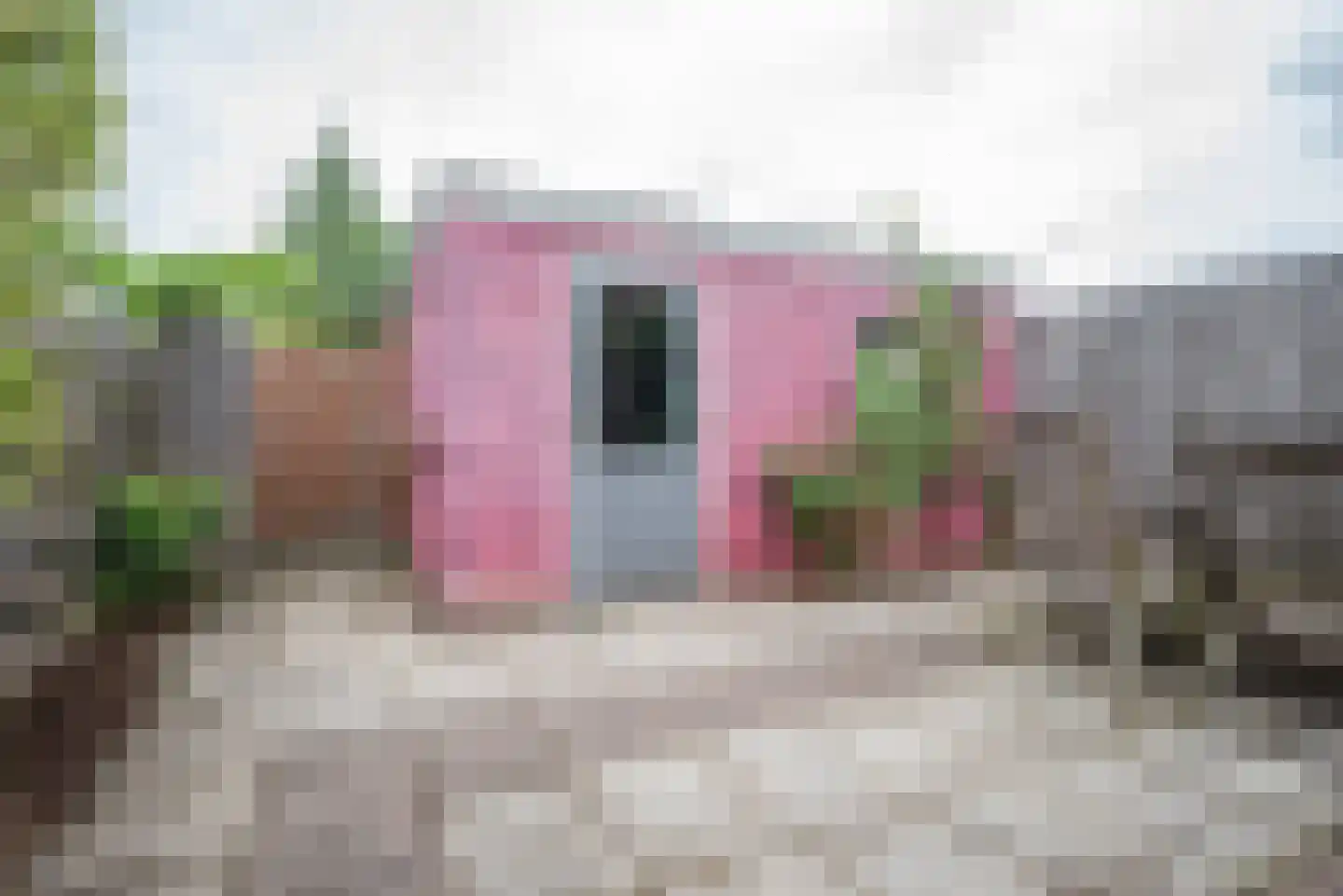Beatrixplein 8 Bleiswijk thumbnail 31