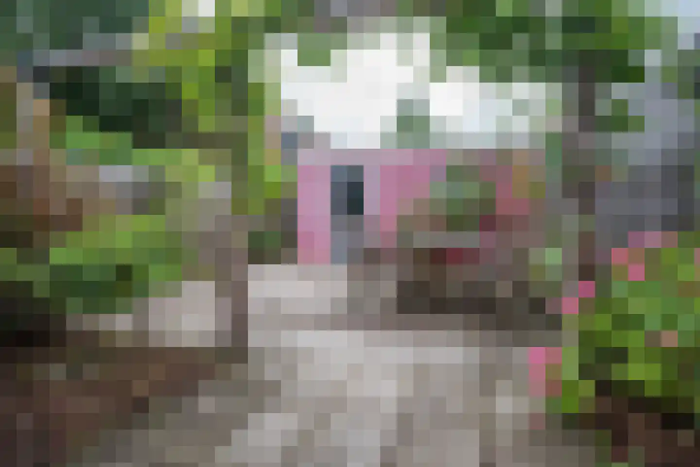 Beatrixplein 8 Bleiswijk thumbnail 4