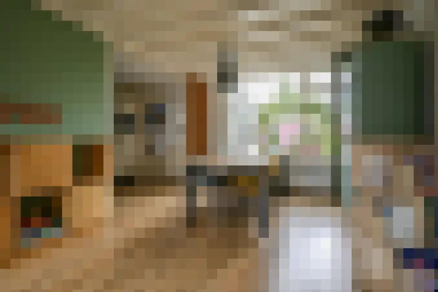 Beatrixplein 8 Bleiswijk thumbnail 7