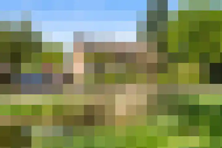 Beatrixplein 8 Ede thumbnail 8