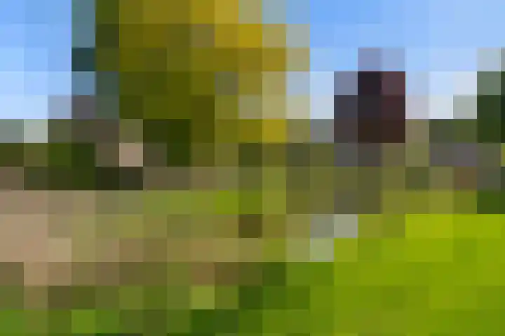 Beatrixplein 8 Ede thumbnail 9