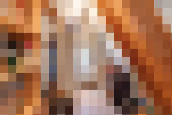Beatrixsingel 11 in Vlodrop