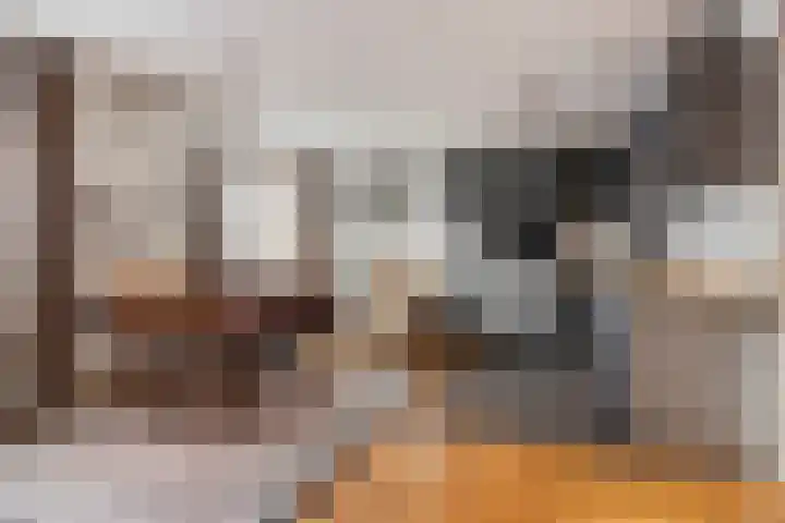 Beatrixsingel 45 Vlodrop thumbnail 13