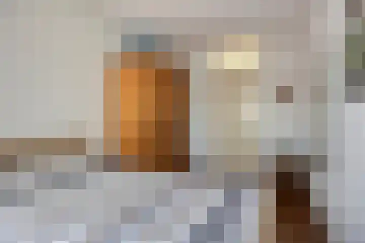 Beatrixsingel 45 Vlodrop thumbnail 19