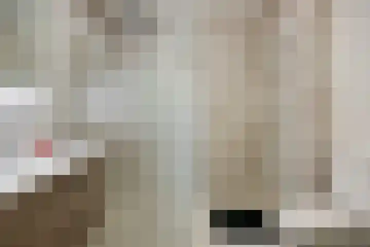 Beatrixsingel 45 Vlodrop thumbnail 22