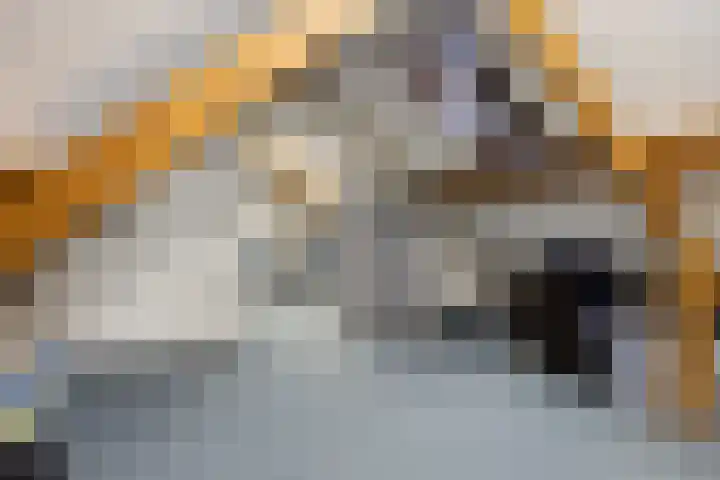Beatrixsingel 45 Vlodrop thumbnail 25