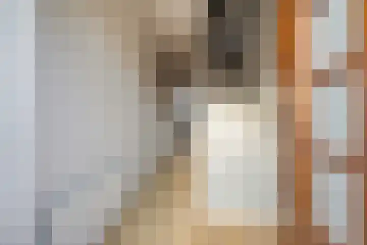 Beatrixstraat 1 Breda thumbnail 10