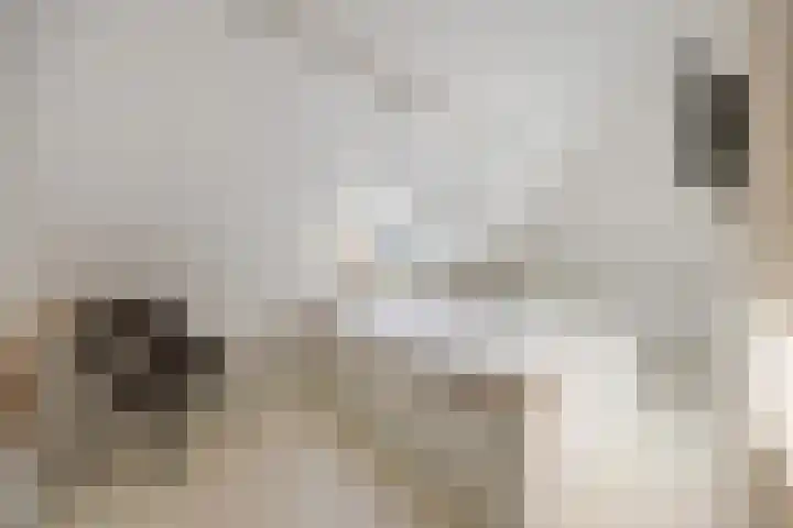 Beatrixstraat 1 Breda thumbnail 50