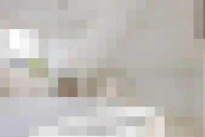 Beatrixstraat 1 Breda thumbnail 51
