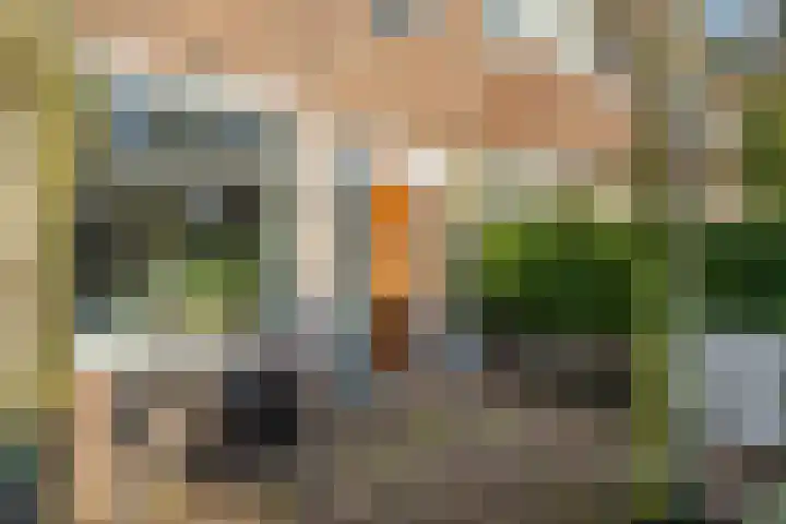 Beatrixstraat 1 Breda thumbnail 8
