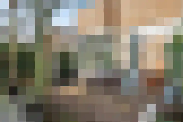 Beatrixstraat 1 Breda thumbnail 9