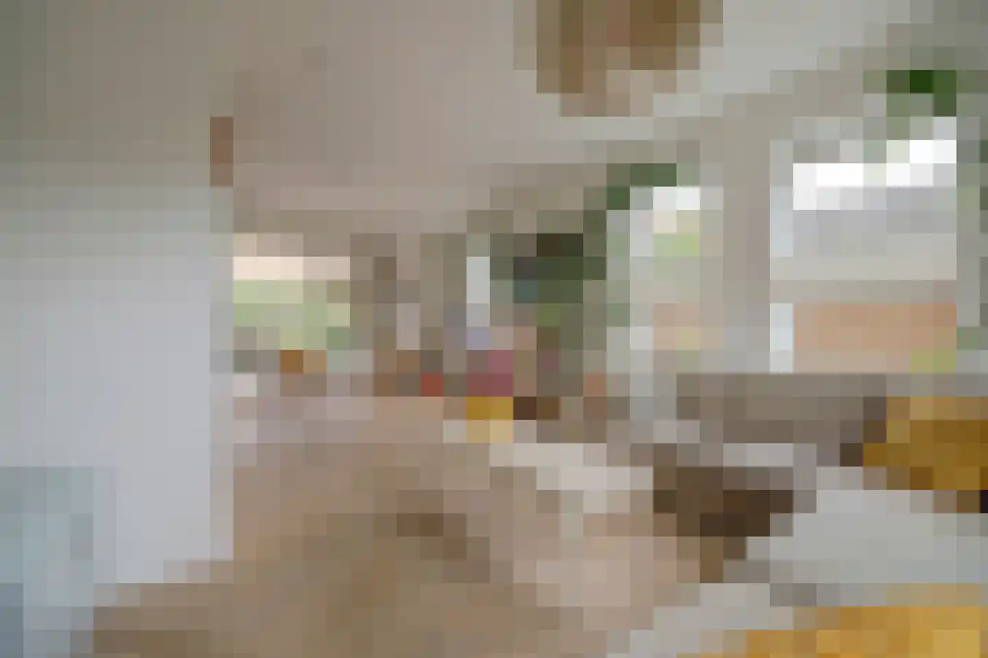 Beatrixstraat 1 Culemborg thumbnail 17