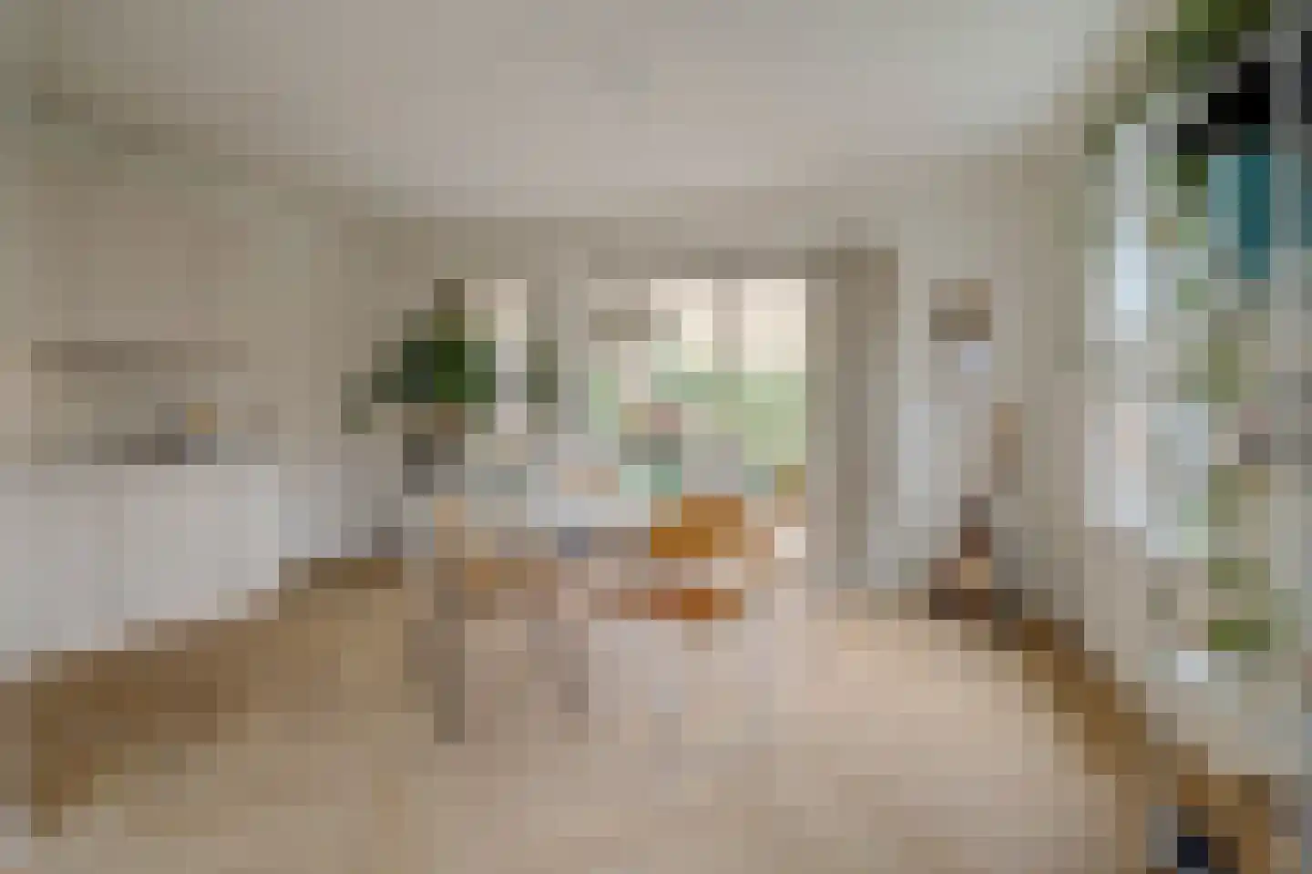 Beatrixstraat 1 Culemborg thumbnail 20