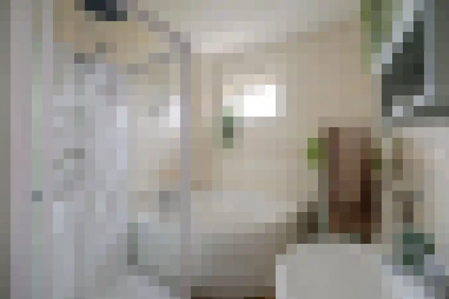Beatrixstraat 1 Culemborg thumbnail 32