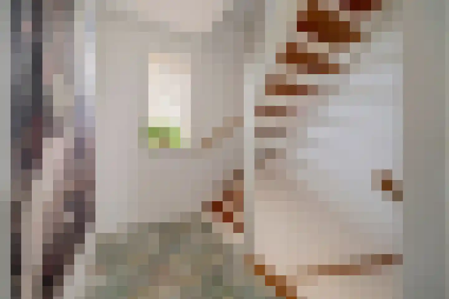 Beatrixstraat 1 Culemborg thumbnail 35