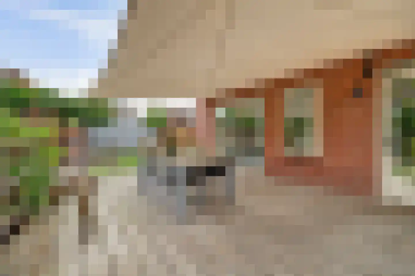 Beatrixstraat 1 Culemborg thumbnail 50