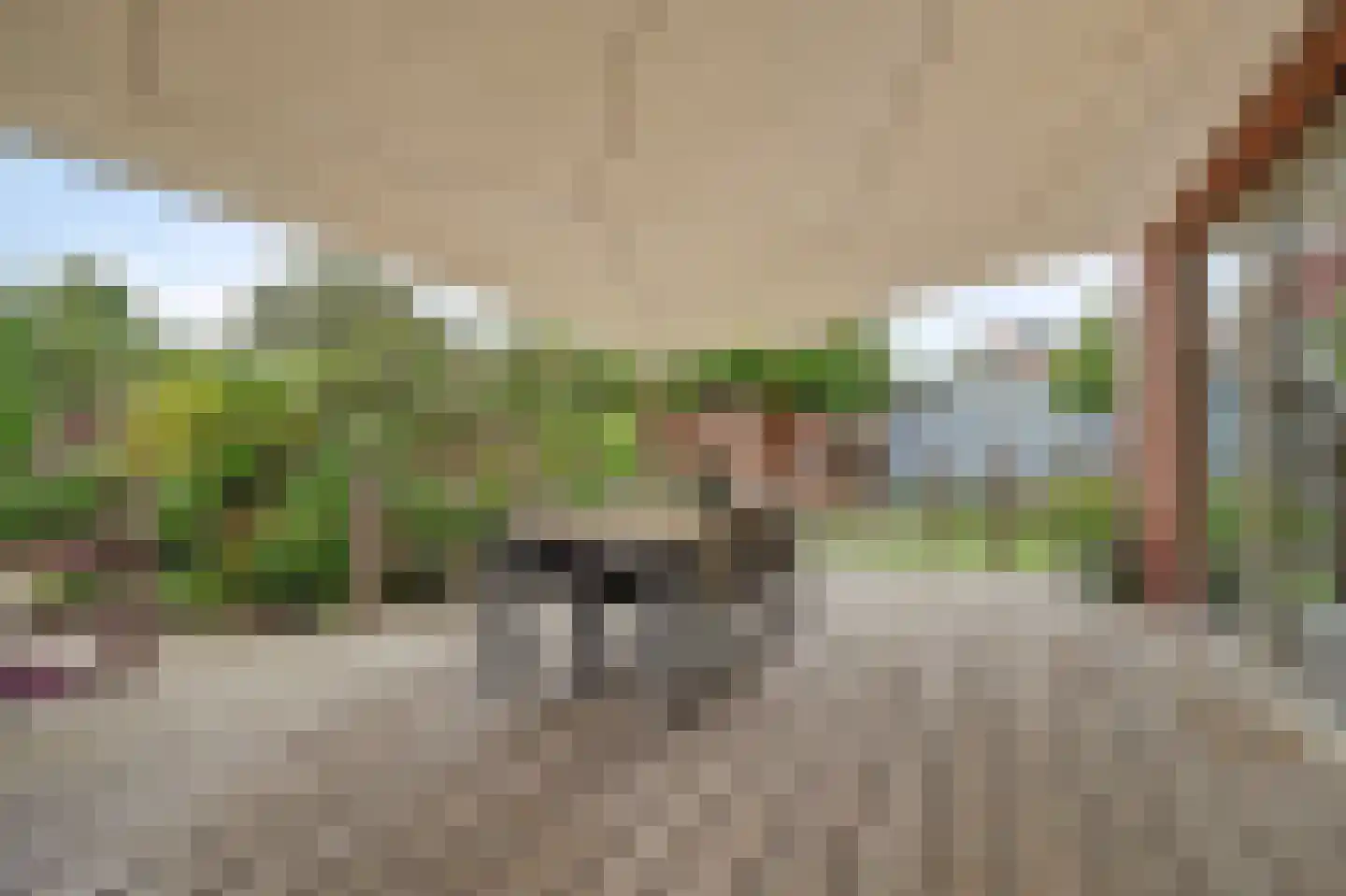 Beatrixstraat 1 Culemborg thumbnail 7