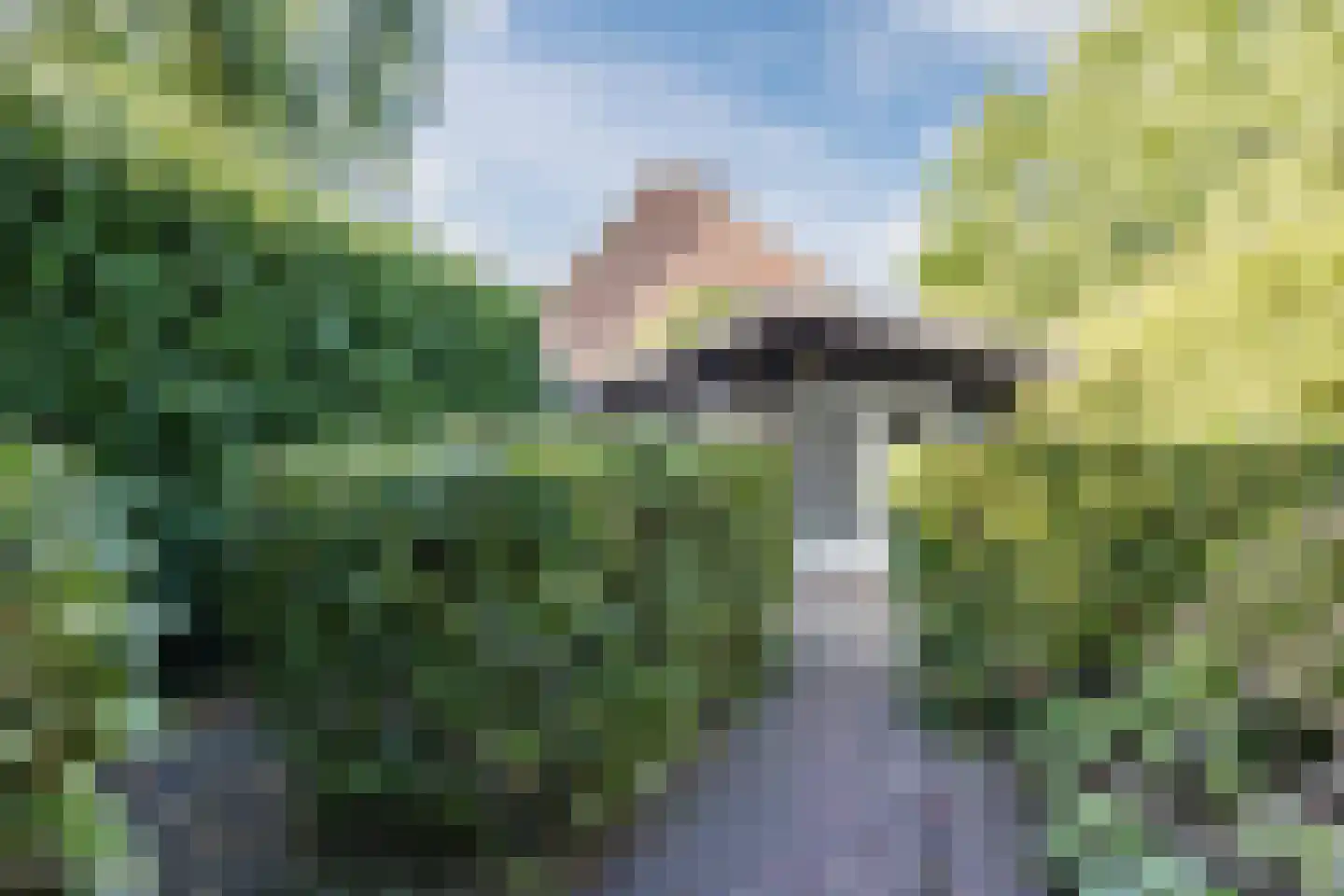 Beatrixstraat 1 Oud Gastel thumbnail 34