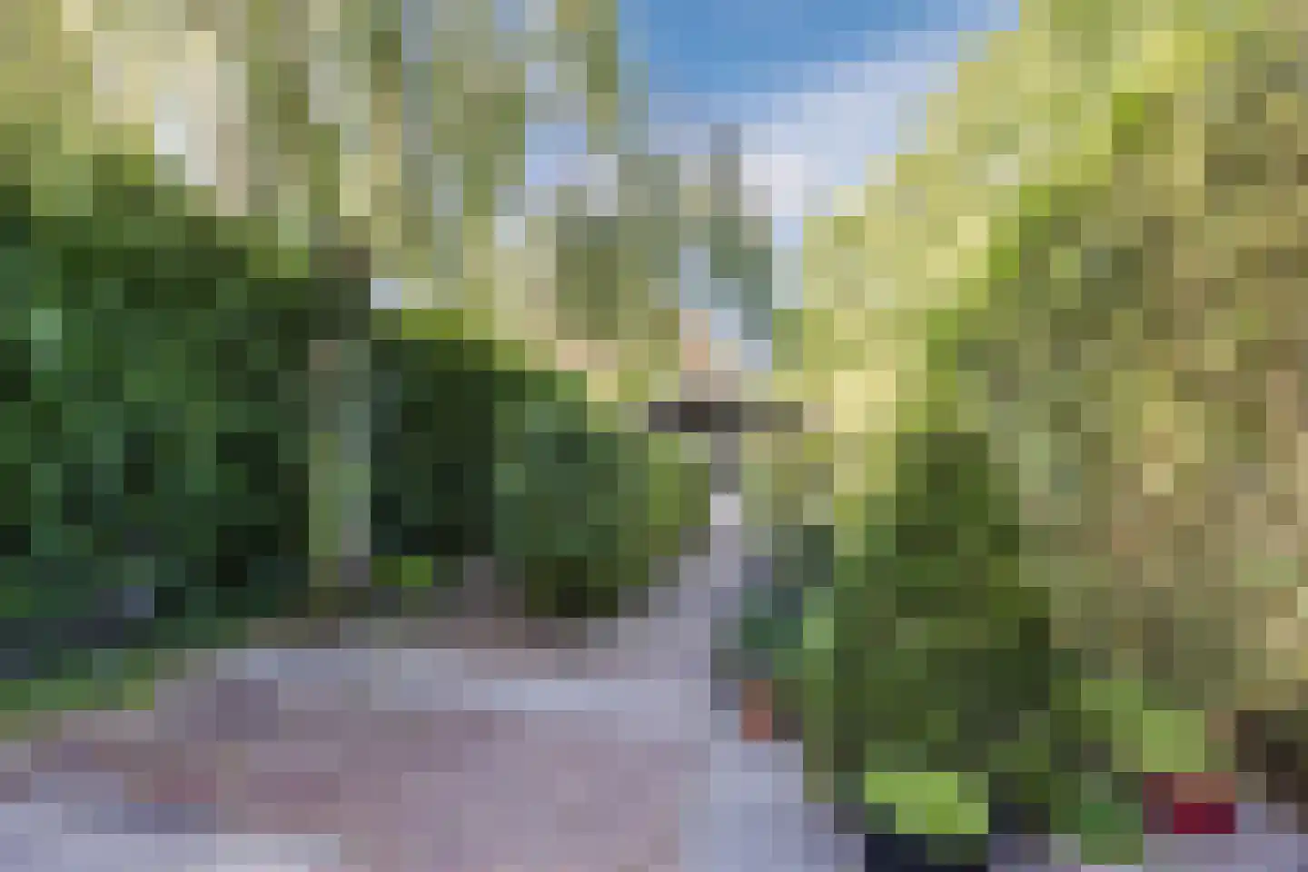 Beatrixstraat 1 Oud Gastel thumbnail 35