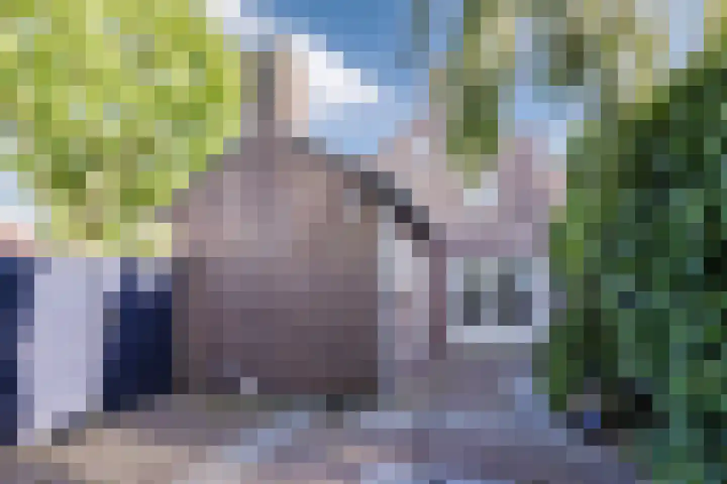 Beatrixstraat 1 Oud Gastel thumbnail 36
