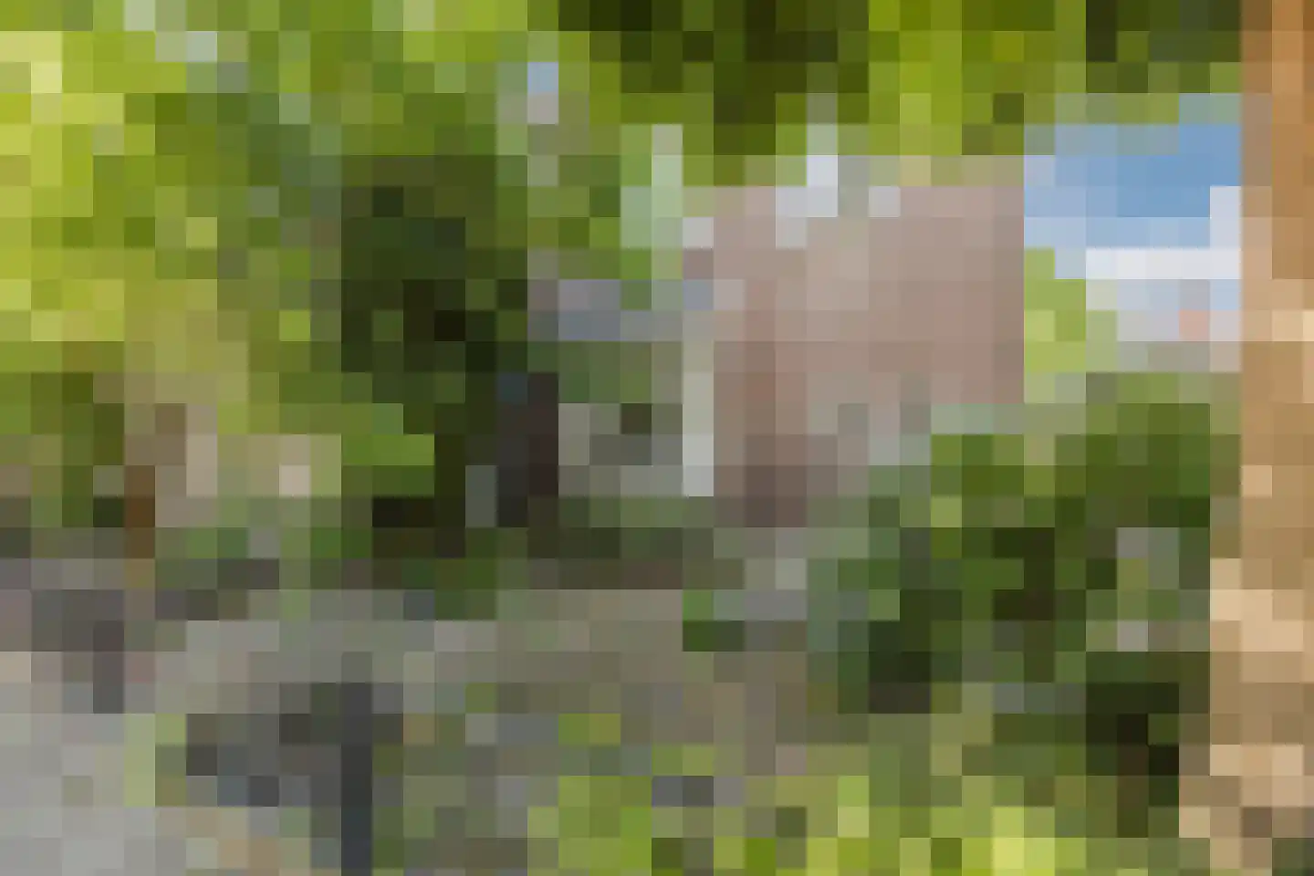 Beatrixstraat 1 Oud Gastel thumbnail 38