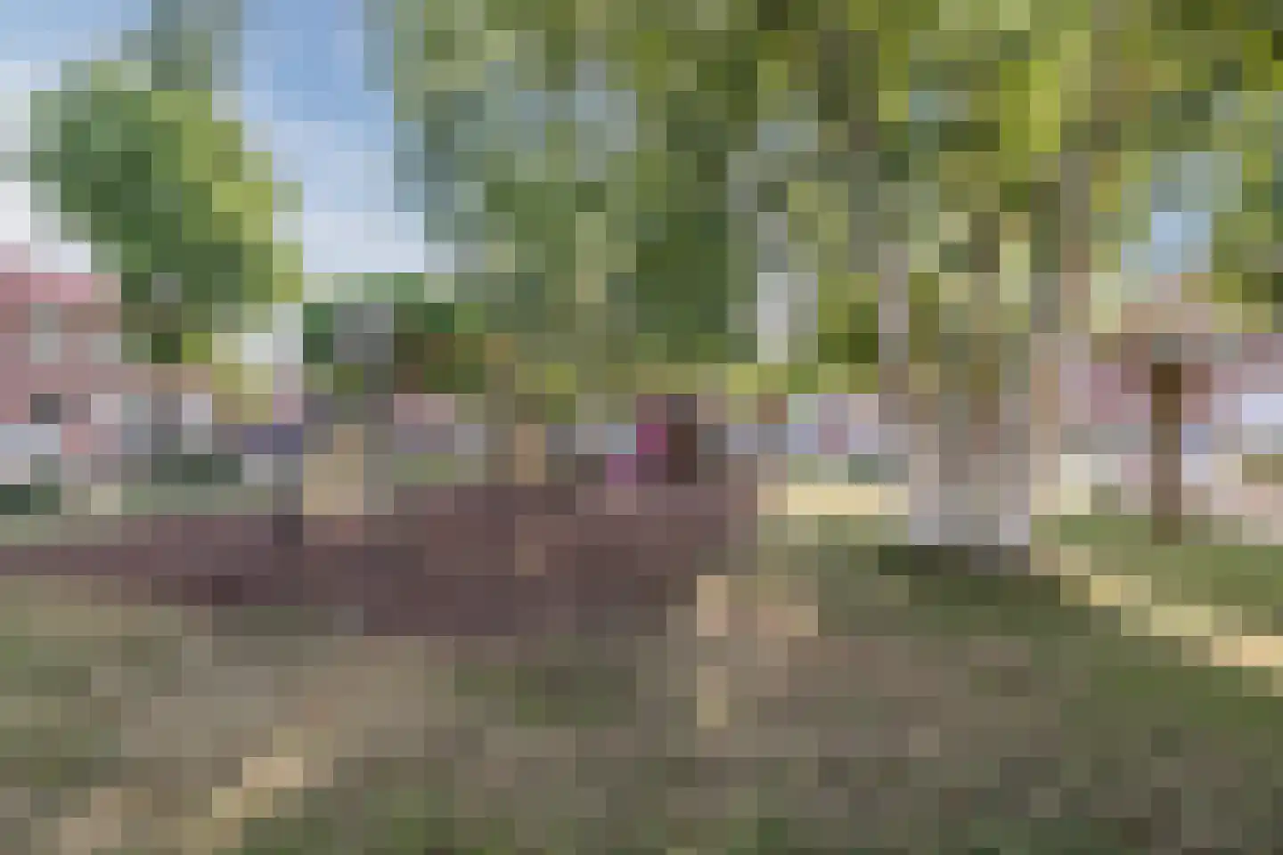 Beatrixstraat 1 Oud Gastel thumbnail 42