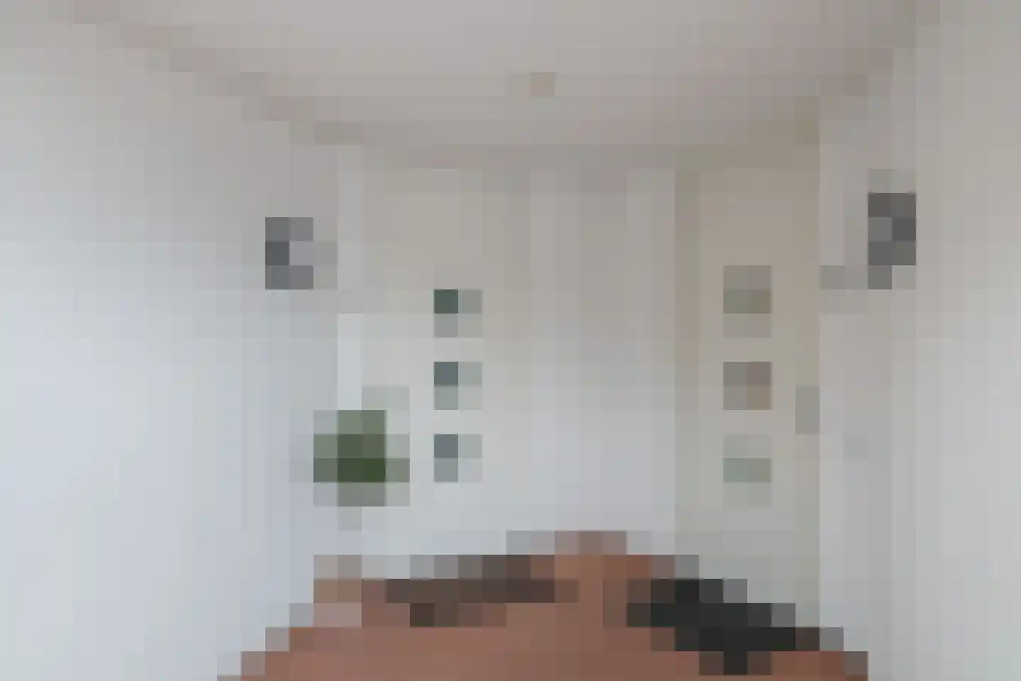 Beatrixstraat 1 t Zetten thumbnail 13