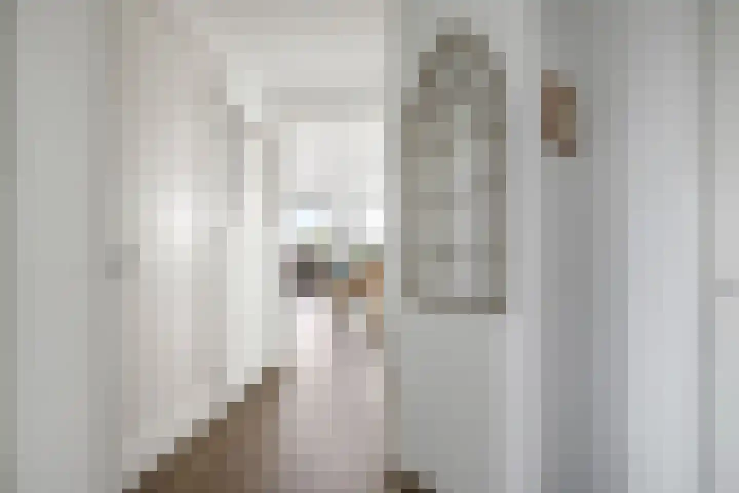 Beatrixstraat 1 t Zetten thumbnail 16