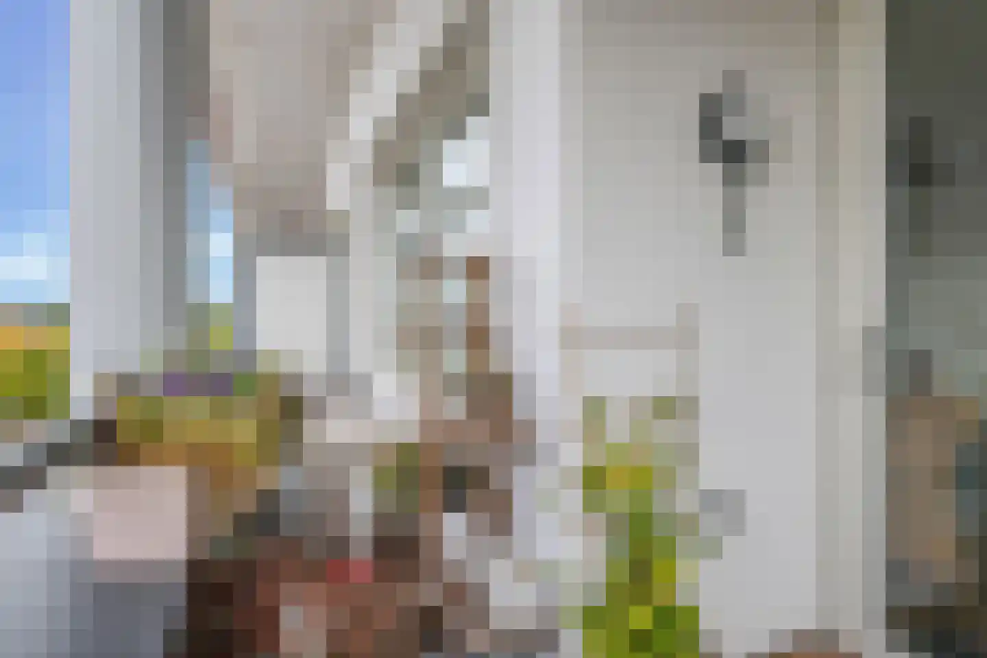Beatrixstraat 1 t Zetten thumbnail 34