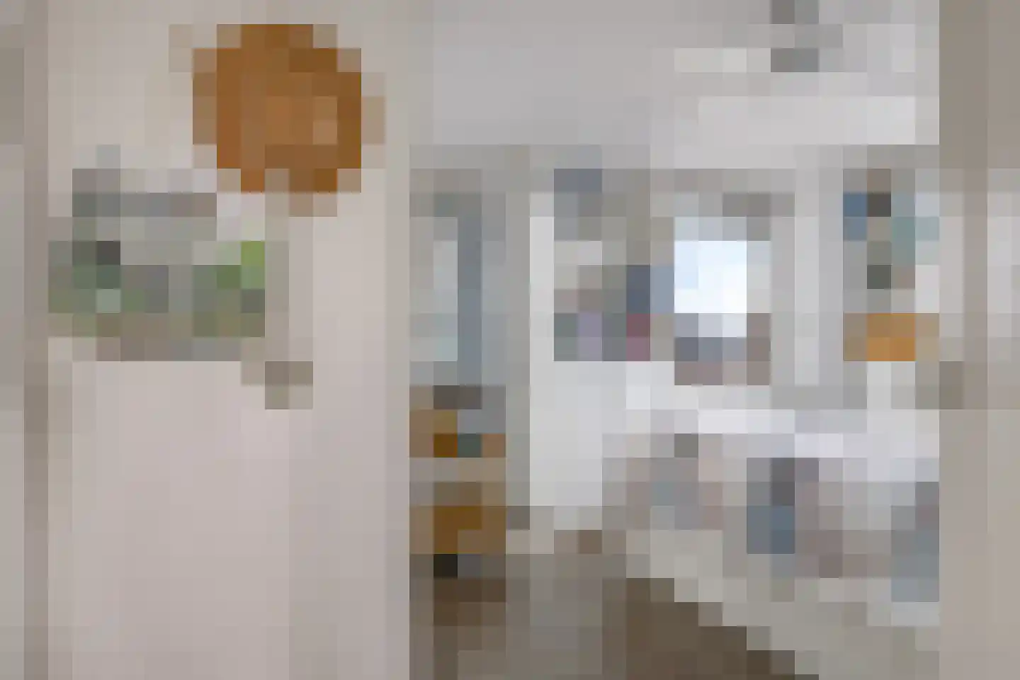 Beatrixstraat 1 t Zetten thumbnail 39